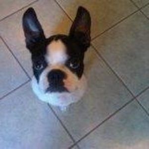 Meet your Posher, Karen